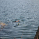 DSC_0735.JPG