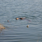 DSC_0738.JPG