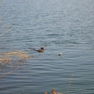 DSC_0743.JPG