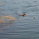 DSC_0744.JPG