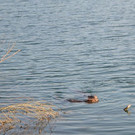 DSC_0745.JPG