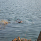 DSC_0748.JPG