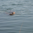 DSC_0749.JPG