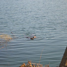 DSC_0750.JPG