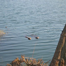 DSC_0752.JPG