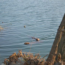 DSC_0756.JPG