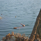 DSC_0757.JPG