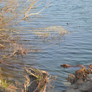 DSC_0760.JPG