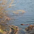 DSC_0761.JPG