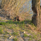 DSC_0762.JPG