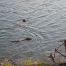 DSC_0767.JPG