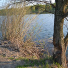 DSC_0771.JPG