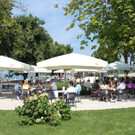 Blasmusik Stimmung am Kaiserstrand 2012 _6__jpg-1366895018