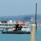 H__llenhunde 25-04-2013 14_jpg-1366898003
