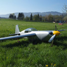 Flugplatz Altenrhein: Notlandung auf Wiese