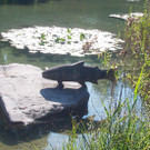 Skulpturen5adeJong_jpg-1366907288