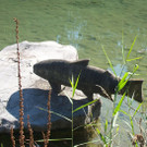 Skulpturen5bdeJong_jpg-1366907291