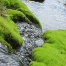 Fotos der Woche 1
