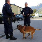 Großfahndung nach Überfall in Hallein II