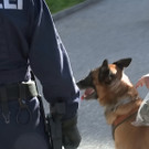 2013-04-26raub hallein _50_.jpg