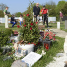 ABD0113-20130425.jpg