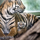 ABD0062-20130423.jpg