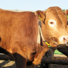 ABD0018-20130426.jpg