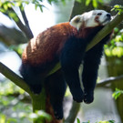 ABD0091-20130425.jpg