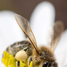 ABD0086-20130424.jpg