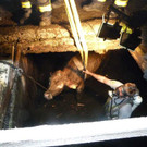 ABD0059-20130424.jpg