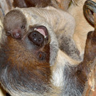 ABD0035-20130423.jpg