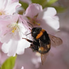 ABD0001-20130423.jpg