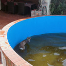 ABD0102-20130422.jpg