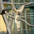 ABD0051-20130418.jpg