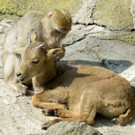 ABD0049-20130418.jpg