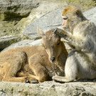 ABD0048-20130418.jpg