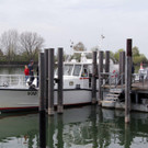 IMG_2449.JPG