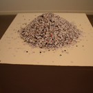 DSC06293.JPG