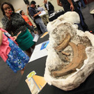 Fossilien am Panama-Kanal entdeckt