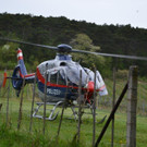 DSC_0517.jpg