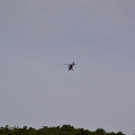 DSC_0542.jpg