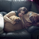 Sony World Photography Awards 2013