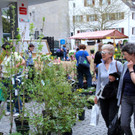 BK_erdreich2 2_jpg-1367072841