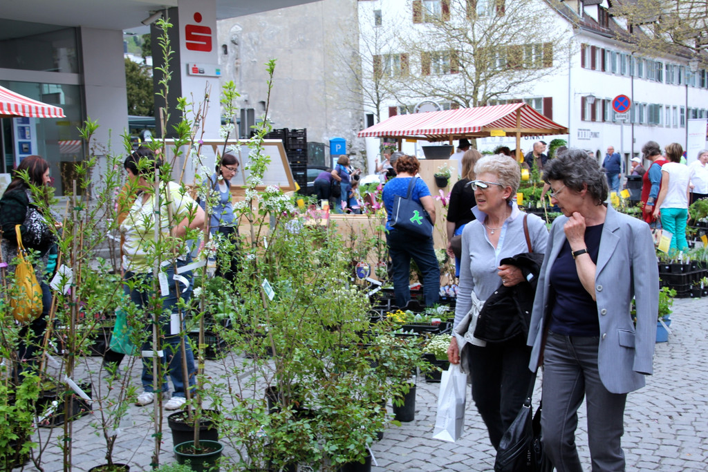 BK_erdreich2 2_jpg-1367072841