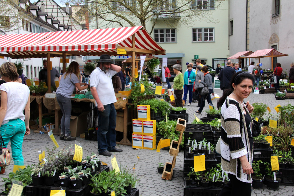 BK_erdreich2 9_jpg-1367072959