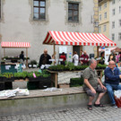 BK_erdreich2 12_jpg-1367073016