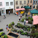 BK_erdreich2 16_jpg-1367073100