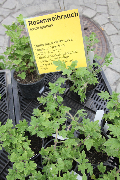 BK_erdreich2 23_jpg-1367073265