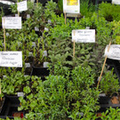 BK_erdreich2 20_jpg-1367073212