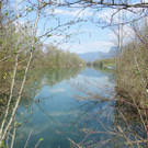 Bad5cA_Rhein_jpg-1367084118